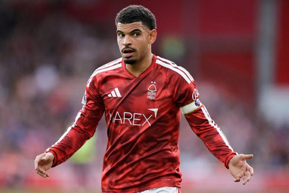 永利y23455官网展示图片
